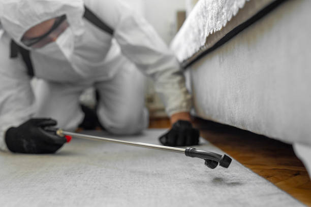 Professional Wasp Control technician working in Sea Girt, NJ