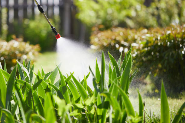 24/7 Emergency Mosquito Control experts in Sea Girt, NJ