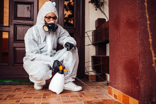 Reliable Mosquito Control contractor in Sea Girt, NJ by Nex Pest Control