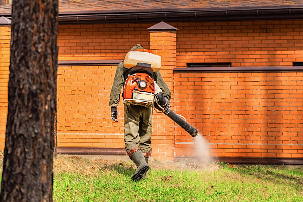Trusted Rodent Control service in Sea Girt, NJ - Nex Pest Control